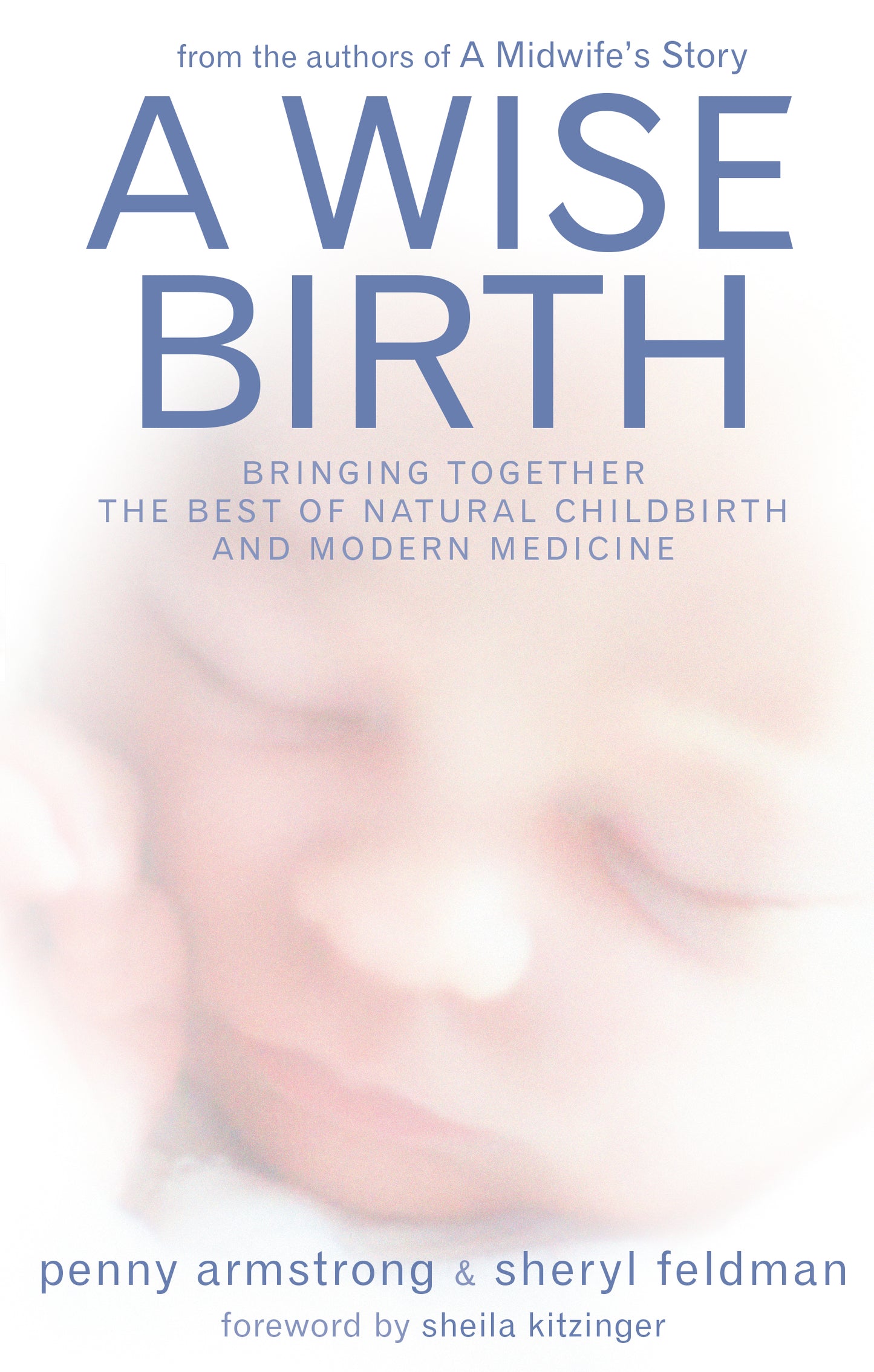 A Wise Birth: Bringing Together the Best of Natural Childbirth and Modern Medicine