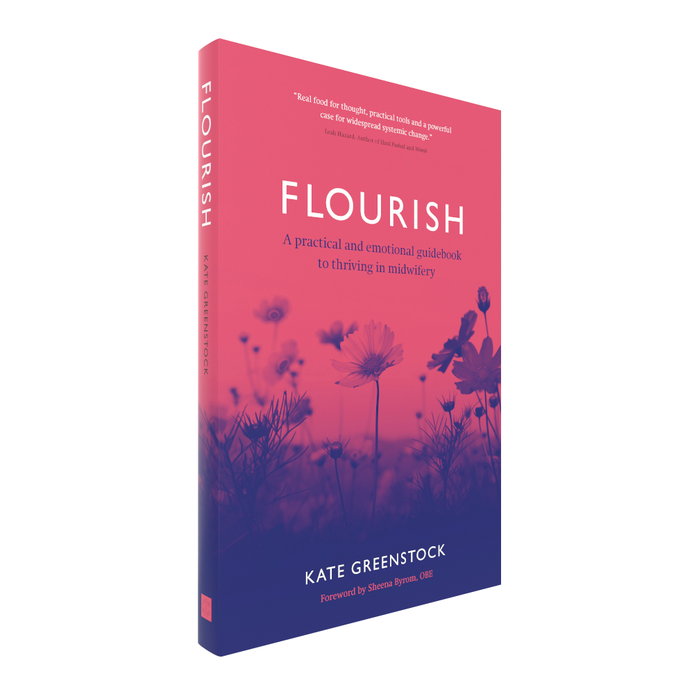 Flourish: A Practical and Emotional Guidebook to Thriving in Midwifery